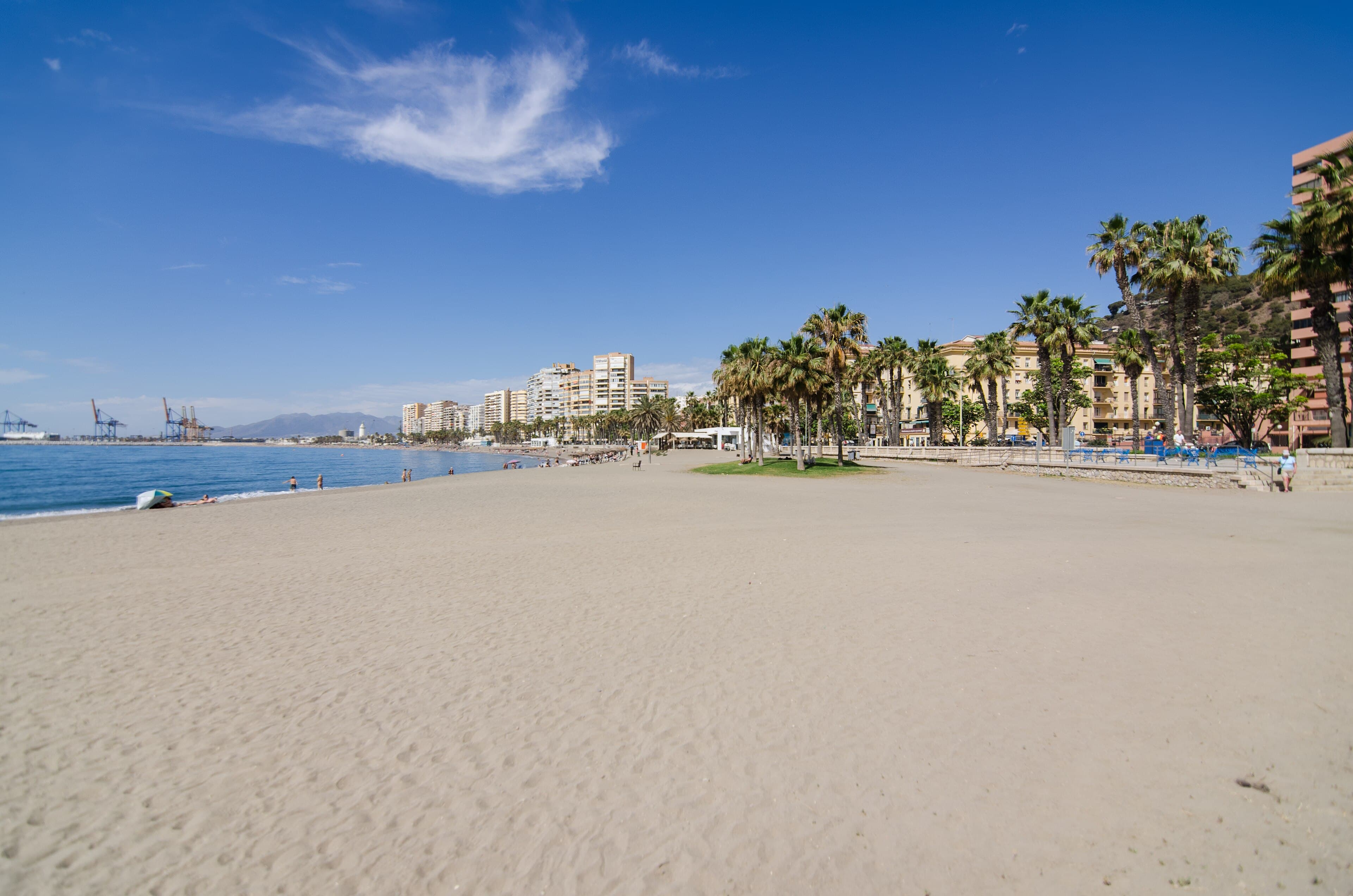 La playa de la Malagueta en Málaga, con palmeras y cielo azul en verano